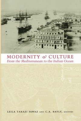 Modernity and Culture 1