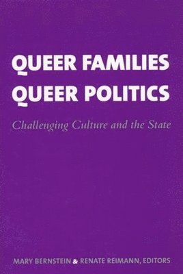 Mary Bernstein, Renate Reimann - Queer Families, Queer Politics, Häftad