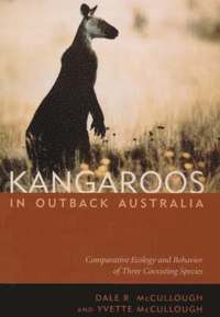 bokomslag Kangaroos in Outback Australia