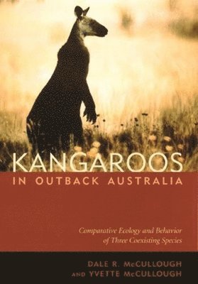 bokomslag Kangaroos in Outback Australia