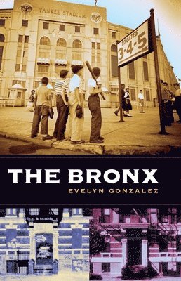 bokomslag The Bronx