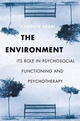 Carolyn Saari - Environment, Häftad