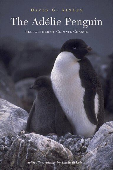 David Ainley - Adélie Penguin, Inbunden