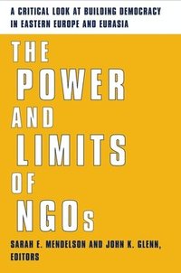 bokomslag The Power and Limits of NGOs