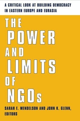 bokomslag The Power and Limits of NGOs