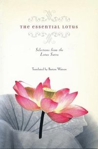 bokomslag The Essential Lotus