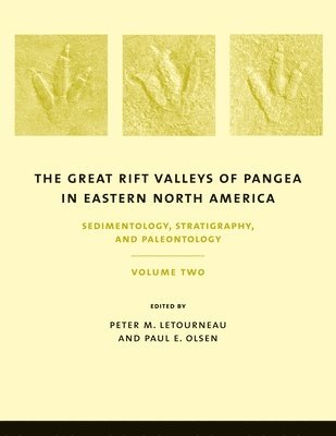 Great Rift Valleys of Pangea in Eastern North America