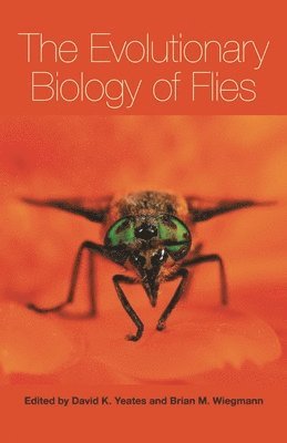 bokomslag The Evolutionary Biology of Flies