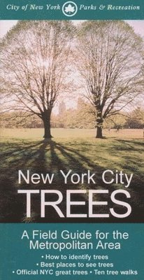 New York City Trees 1