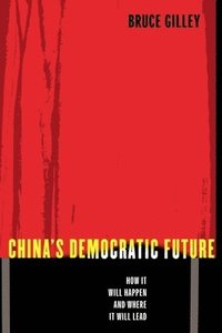 bokomslag China's Democratic Future