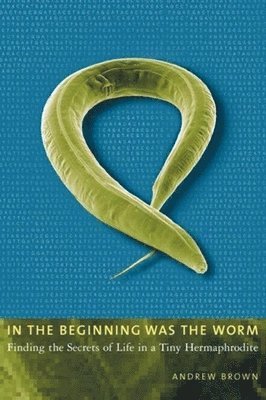 Andrew Brown - In the Beginning Was the Worm, Häftad