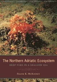 bokomslag The Northern Adriatic Ecosystem
