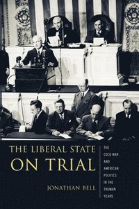 bokomslag The Liberal State on Trial