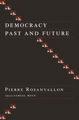 bokomslag Democracy Past and Future