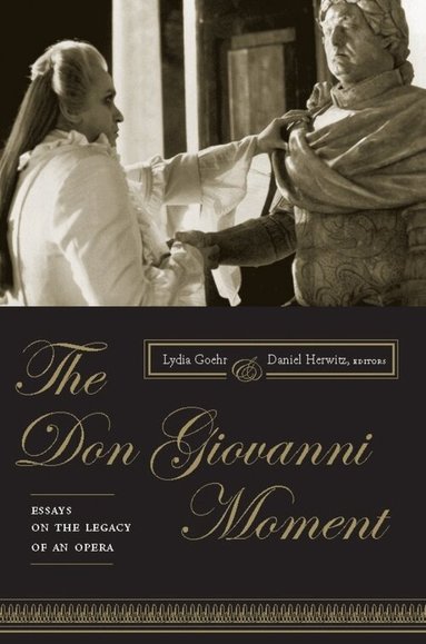 Lydia Goehr, Daniel Herwitz - Don Giovanni Moment, Inbunden