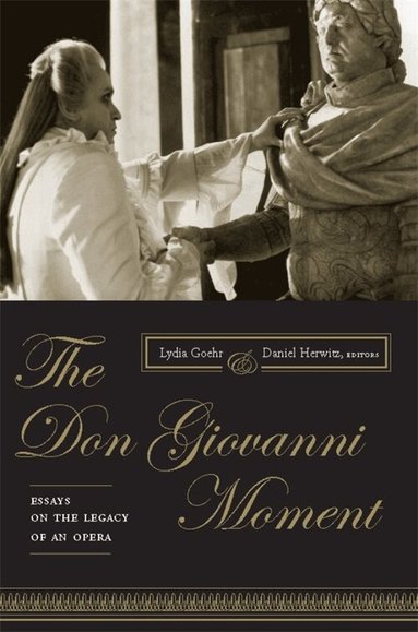 Lydia Goehr, Daniel Herwitz - Don Giovanni Moment, Häftad