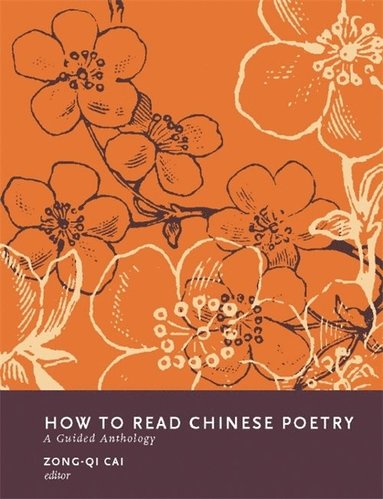 bokomslag How to Read Chinese Poetry