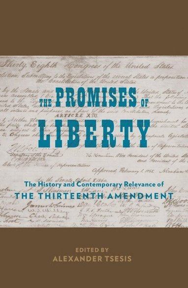 bokomslag Promises of Liberty