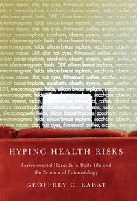 bokomslag Hyping Health Risks