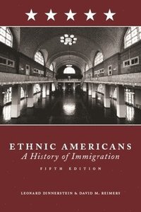 bokomslag Ethnic Americans