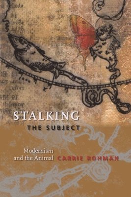 Carrie Rohman, Carrie (Assistant Professor) Rohman - Stalking the Subject, Inbunden