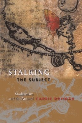 Carrie Rohman, Carrie (Assistant Professor) Rohman - Stalking the Subject, Häftad