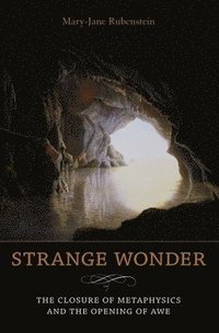 bokomslag Strange Wonder