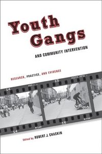 bokomslag Youth Gangs and Community Intervention
