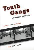 bokomslag Youth Gangs and Community Intervention