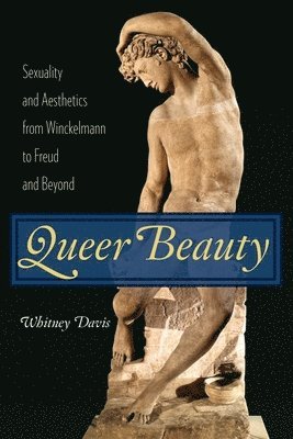 bokomslag Queer Beauty