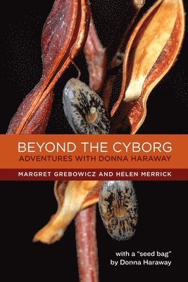 Beyond the Cyborg 1