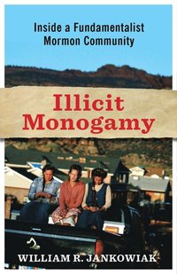 bokomslag Illicit Monogamy