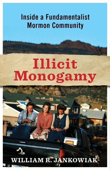 William Jankowiak - Illicit Monogamy, Inbunden