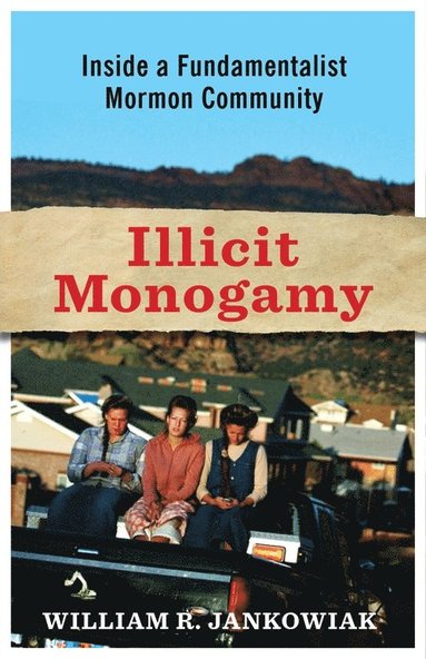 bokomslag Illicit Monogamy