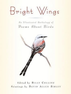 bokomslag Bright Wings