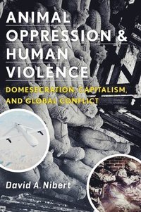 bokomslag Animal Oppression and Human Violence