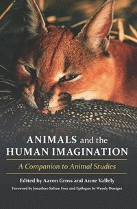 bokomslag Animals and the Human Imagination