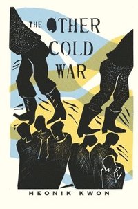 bokomslag The Other Cold War