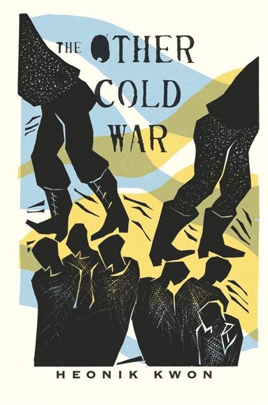 bokomslag Other Cold War