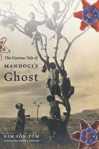 bokomslag The Curious Tale of Mandogi's Ghost