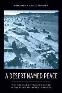 bokomslag A Desert Named Peace