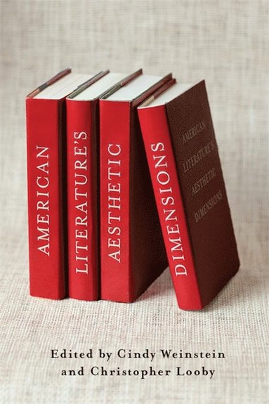 bokomslag American Literature's Aesthetic Dimensions