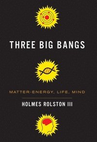 bokomslag Three Big Bangs