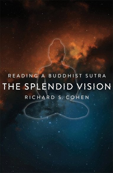Richard Cohen - Splendid Vision, Häftad