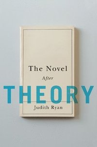 bokomslag The Novel After Theory