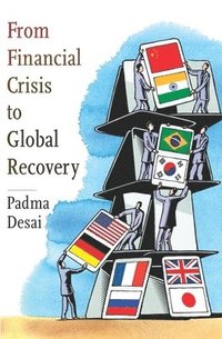 bokomslag From Financial Crisis to Global Recovery