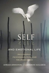 bokomslag Self and Emotional Life