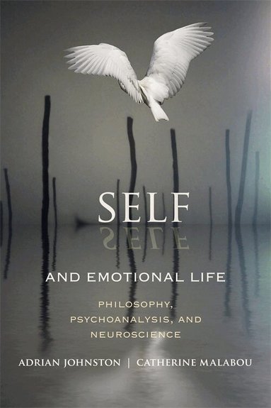 Adrian Johnston, Catherine Malabou - Self and Emotional Life, Häftad