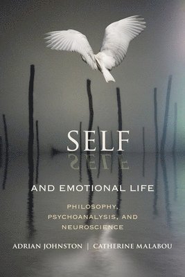 Self and Emotional Life 1