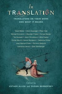 bokomslag In Translation